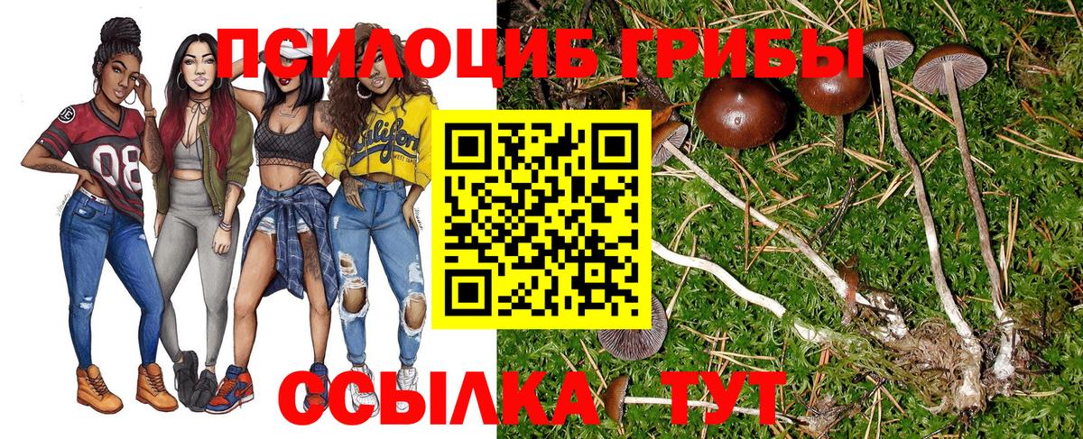 Гудермес  Галлюциногенные грибы Magic Shrooms  Вход с VPN 